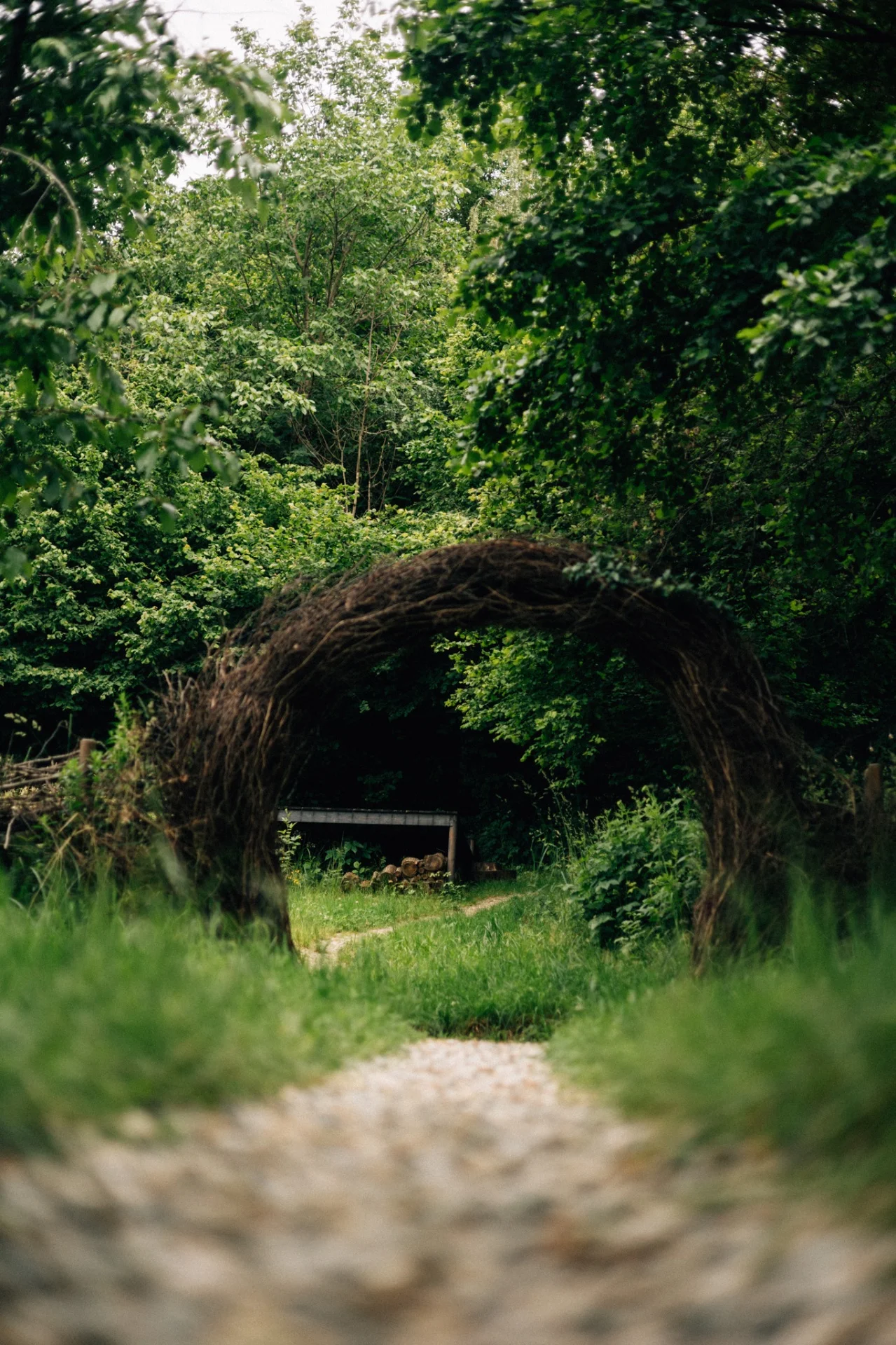 Poteca și arcadă de lemn spre pădure